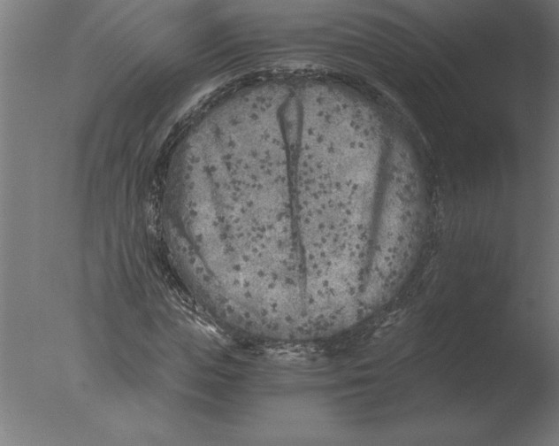 X0000076090823200610202104