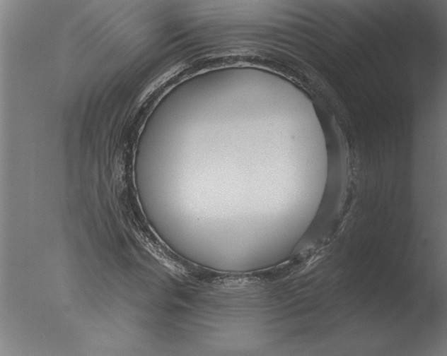 X0000076090826200610202104