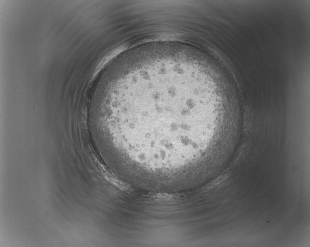 X0000076090827200610202104