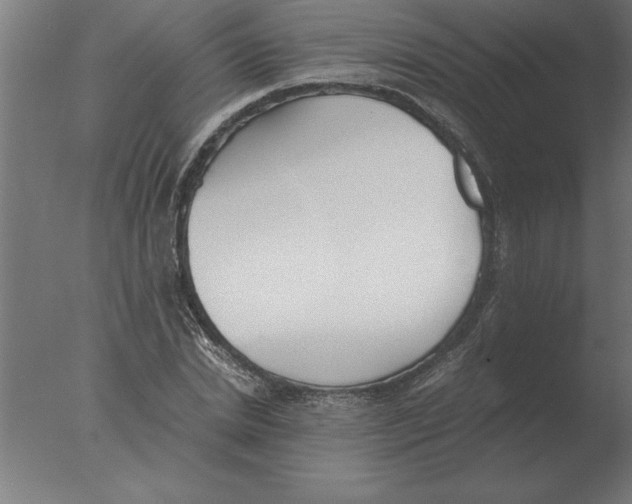 X0000076090830200610202104