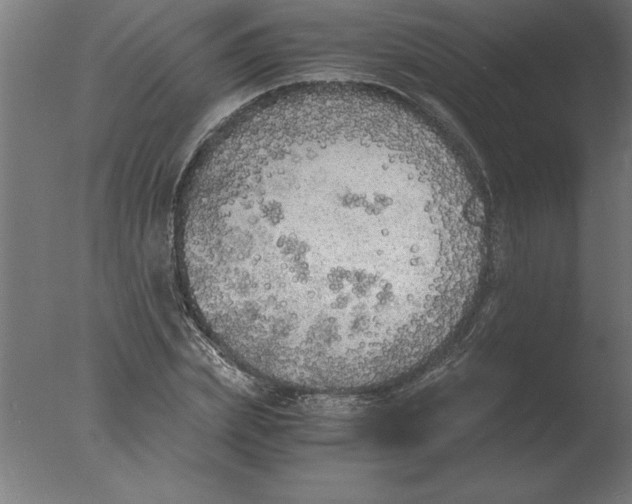 X0000076090831200610202104