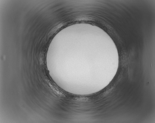 X0000076090833200610202104