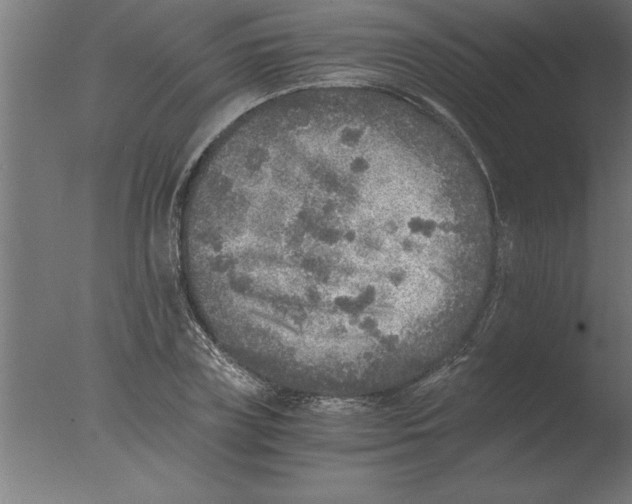 X0000076090835200610202104