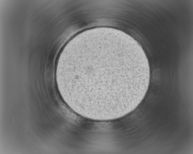 X0000076090836200610202104