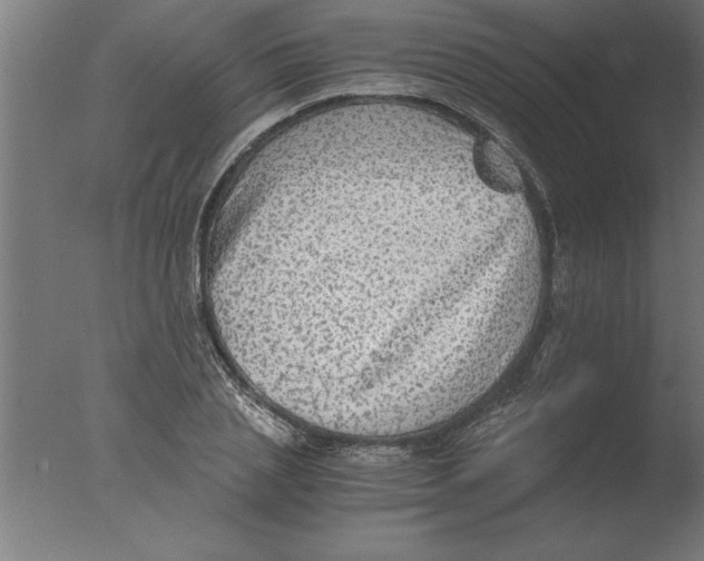 X0000076090837200610202104