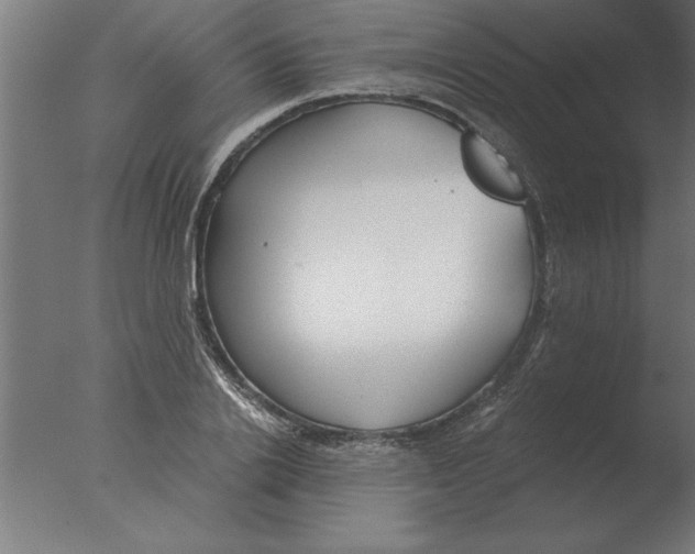 X0000076090838200610202104