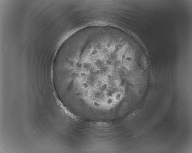 X0000076090839200610202104