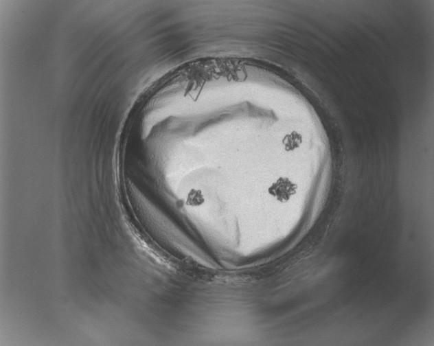 X0000076090840200610202104