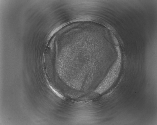 X0000076090842200610202104