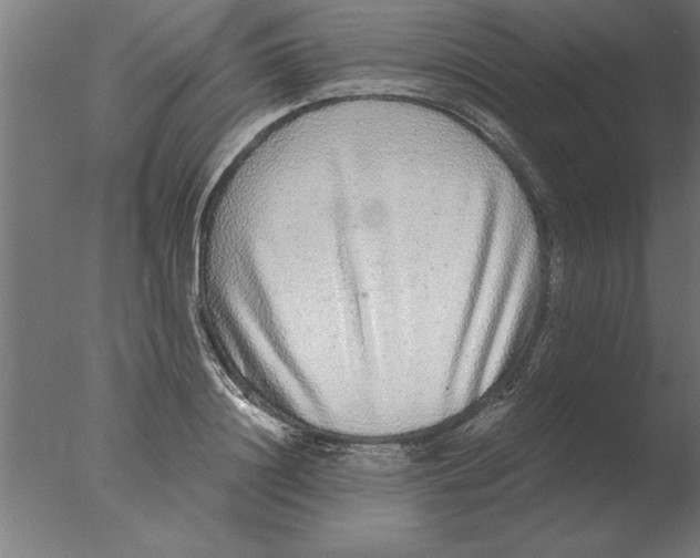 X0000076090844200610202104