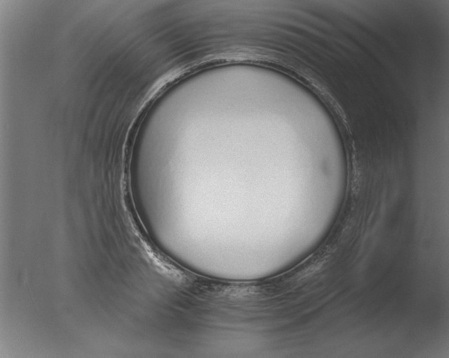 X0000076090845200610202104