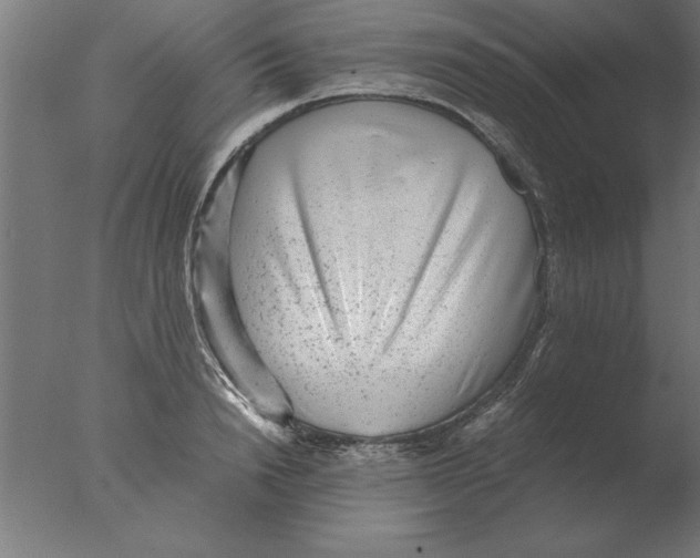 X0000076090846200610202104