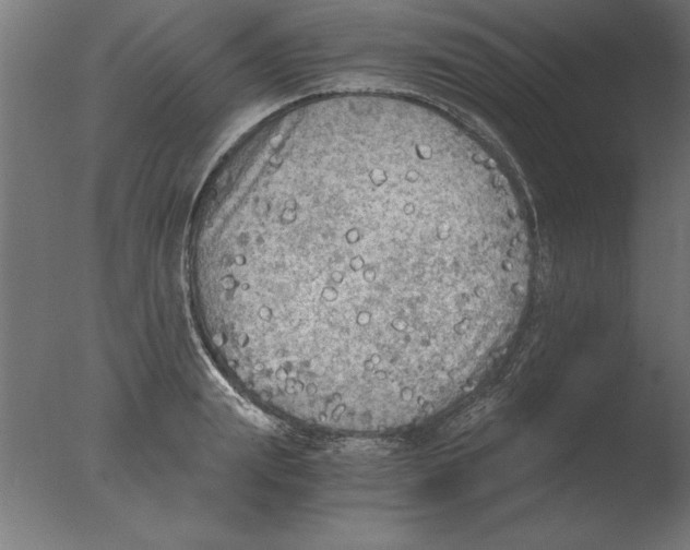 X0000076090847200610202104