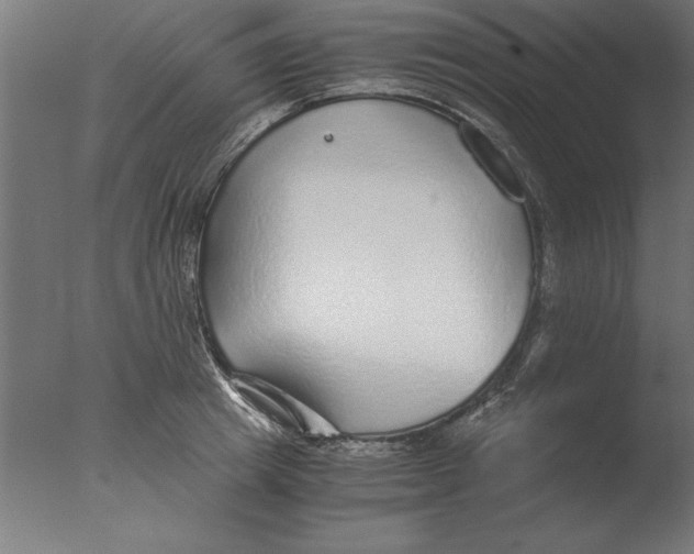 X0000076090849200610202104