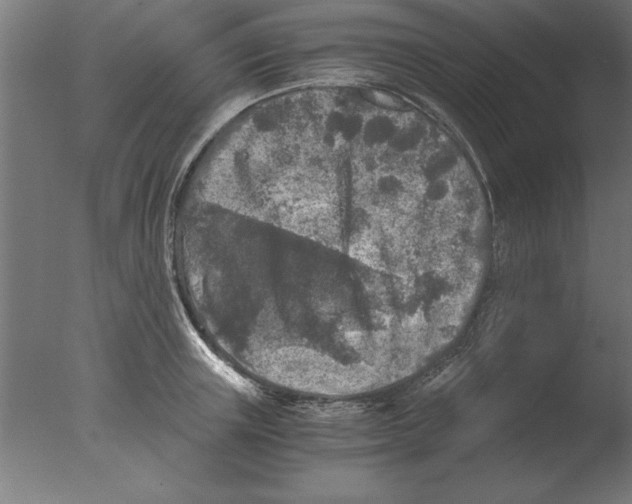 X0000076090851200610202104