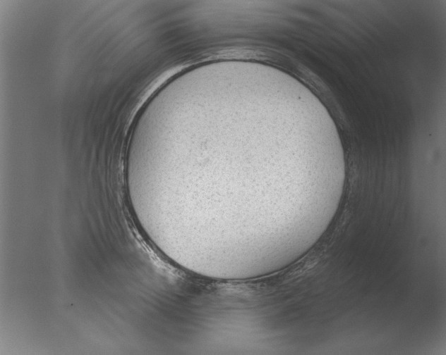 X0000076090852200610202104