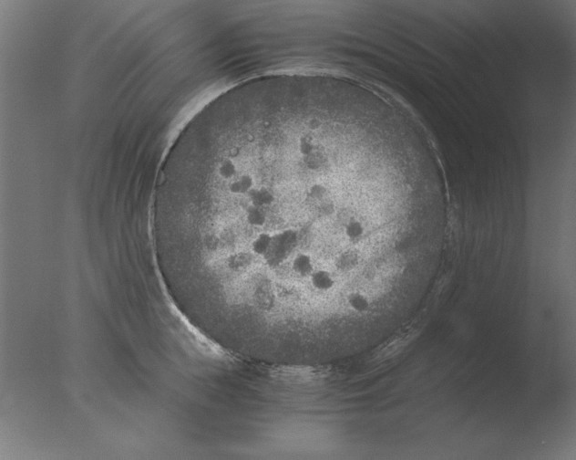 X0000076090855200610202104