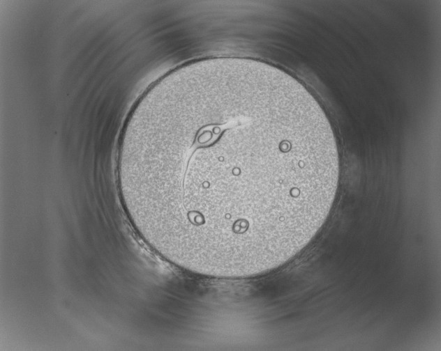 X0000076090856200610202104