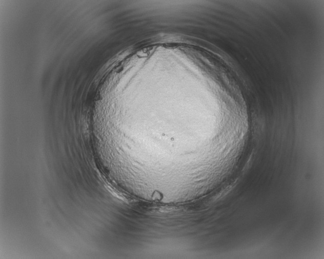 X0000076090857200610202104