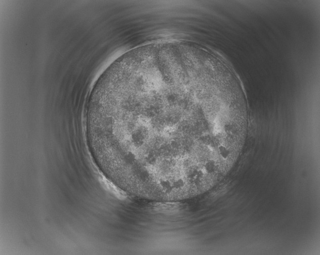 X0000076090859200610202104