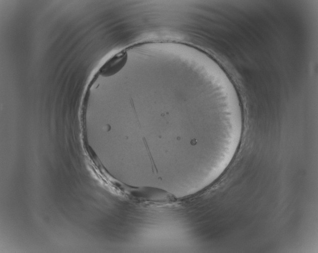 X0000076090864200610202104