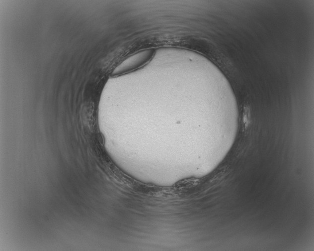 X0000076090867200610202104