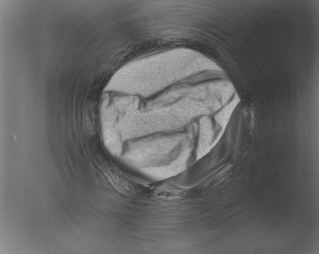 X0000076090868200610202103