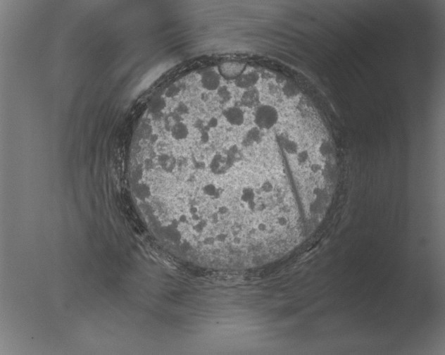 X0000076090871200610202103