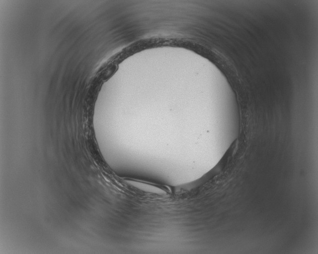 X0000076090872200610202103