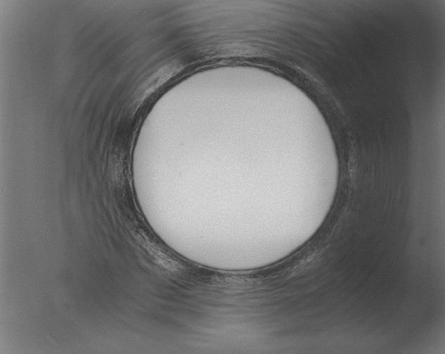 X0000076090873200610202103