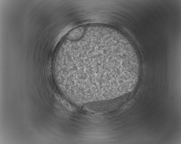 X0000076090875200610202103