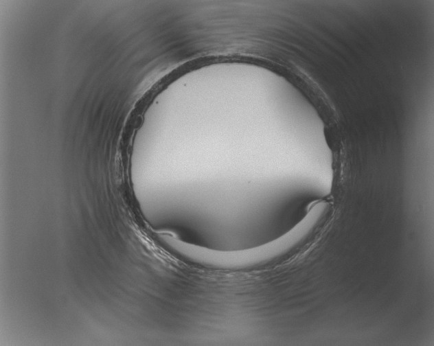 X0000076090876200610202103