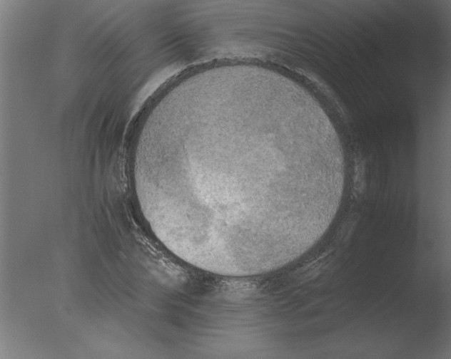 X0000076090878200610202103