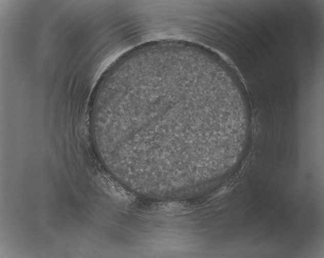 X0000076090879200610202103