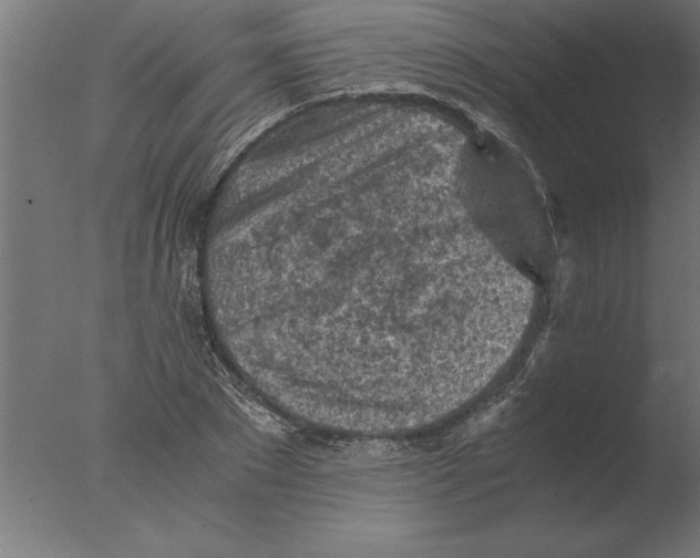 X0000076090881200610202103