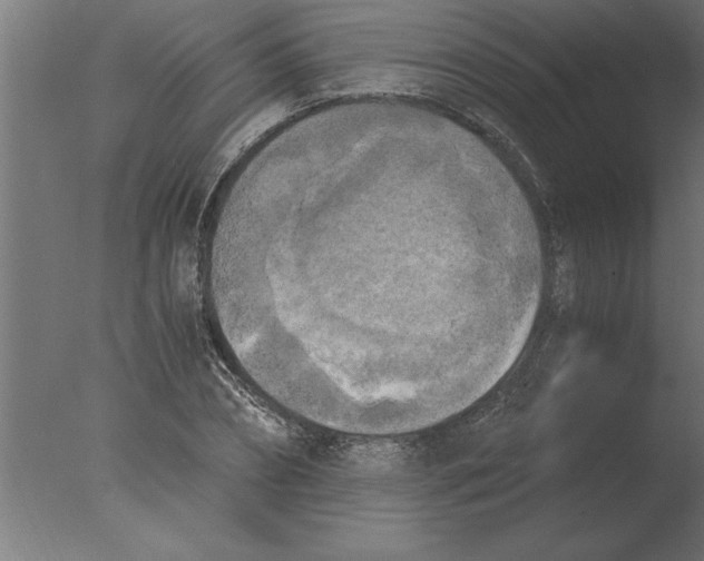 X0000076090882200610202103