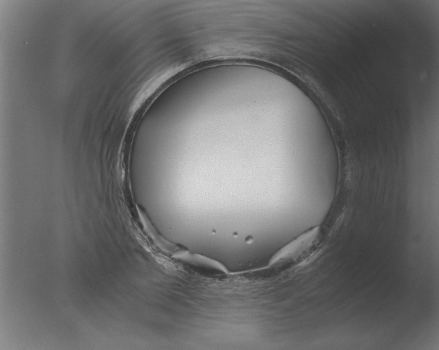 X0000076090885200610202103