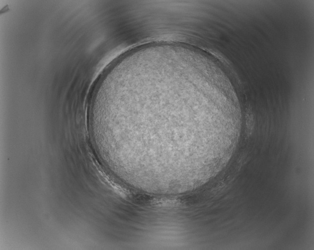 X0000076090886200610202103