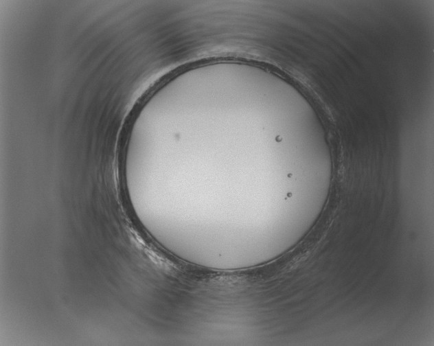 X0000076090888200610202103