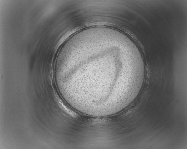 X0000076090890200610202103