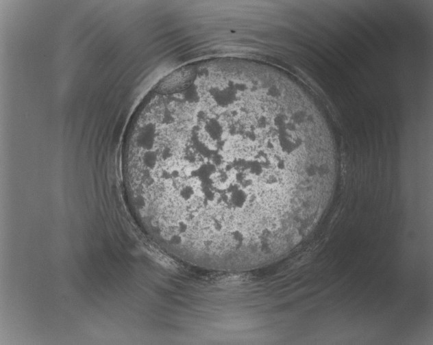 X0000076090891200610202103