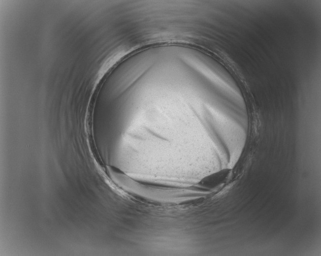 X0000076090893200610202103