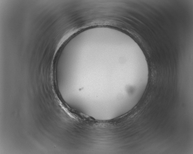 X0000076090894200610202103