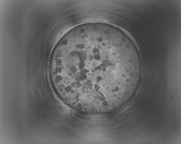 X0000076090895200610202103