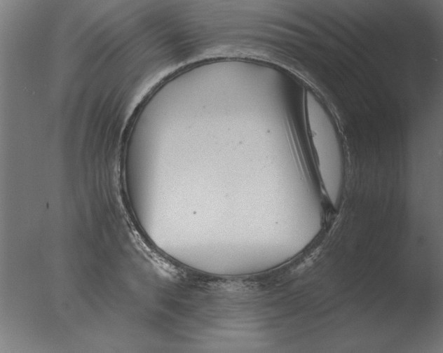 X0000076090896200610202103