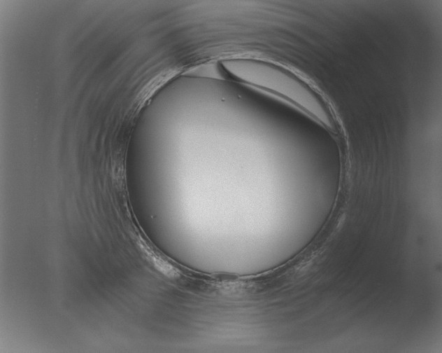 X0000076090897200610202103