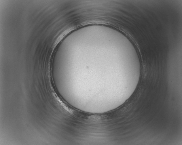 X0000076090898200610202103