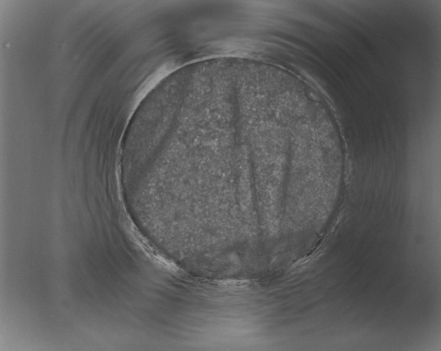 X0000076090899200610202103