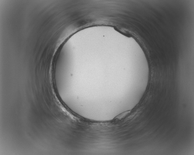 X0000076090902200610202103