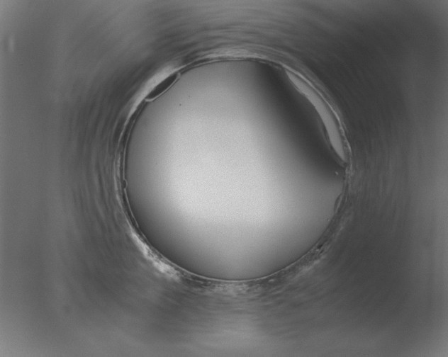 X0000076090909200610202103